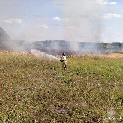 На территории Орловской области за выходные подтвердилось 5 термических точек