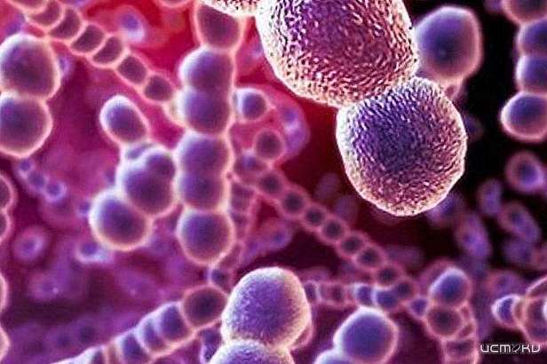 Орловчан призывают сделать прививку против пневмоккоковой инфекции