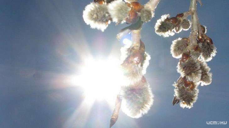 В субботу в Орле будет солнечно и тепло