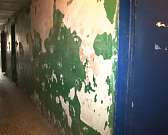 Затхлый запах, обшарпанные стены...Погорельцам предложили непригодное жилье