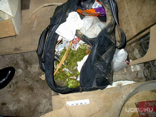 Новости за 90 секунд: Департамент здравоохранения получит нового руководителя, три шестерки в Вооруженные силы, 58 тысяч за визит соцработников