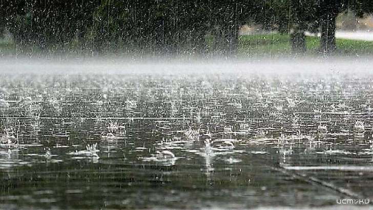 Ливни и сильный ветер: сегодня орловчан ждет резкое ухудшение погоды