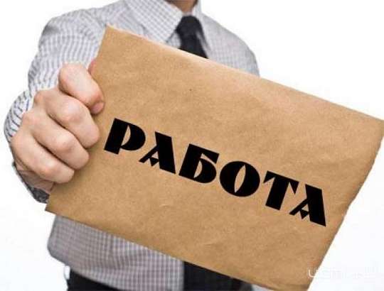 Орловская область заняла 17 место по числу принятых в организации работников