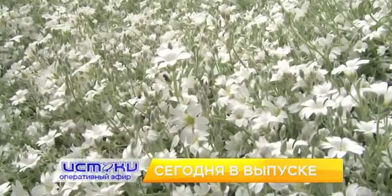 Отчет мэра о работе на благо Орла, генеральная уборка города – сегодня в программе «Оперативный эфир»