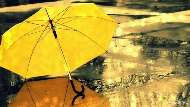 В последний апрельский день орловчанам понадобится зонт 