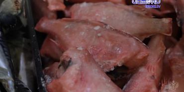 Рыбу нужно есть