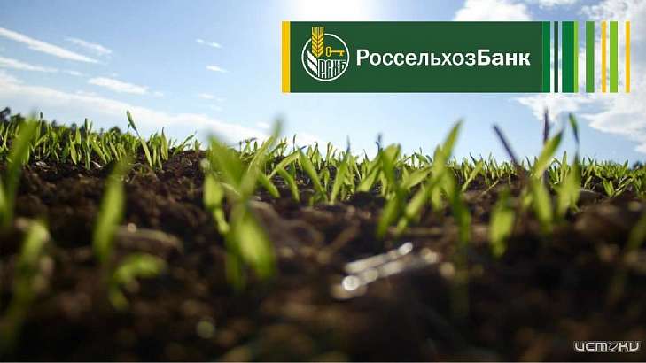 Орловский филиал РСХБ увеличил льготное кредитование сезонных работ на 30 %