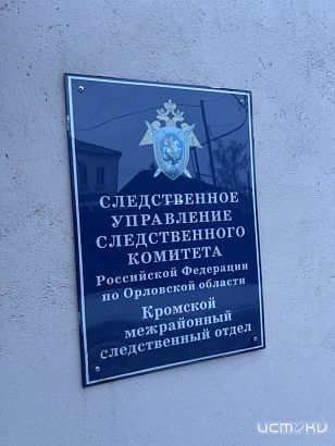 Пьяная поездка закончилась уголовным делом 