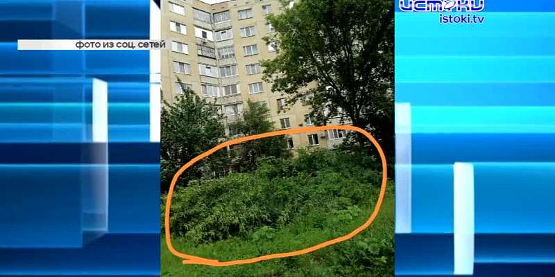 На Орловщине выявили 53 факта сбыта фальшивых денежных знаков. На территории рынка "Орловская Нива" установили рекламный щит, но для этого спилили 9 з...