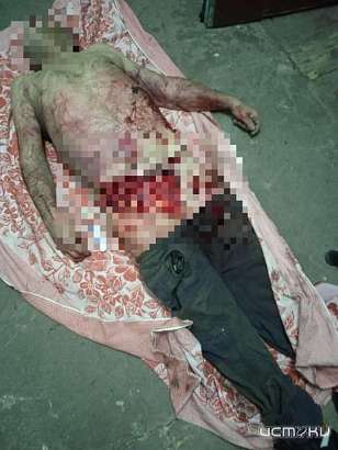 В Ливнах собака загрызла своего хозяина – СМИ