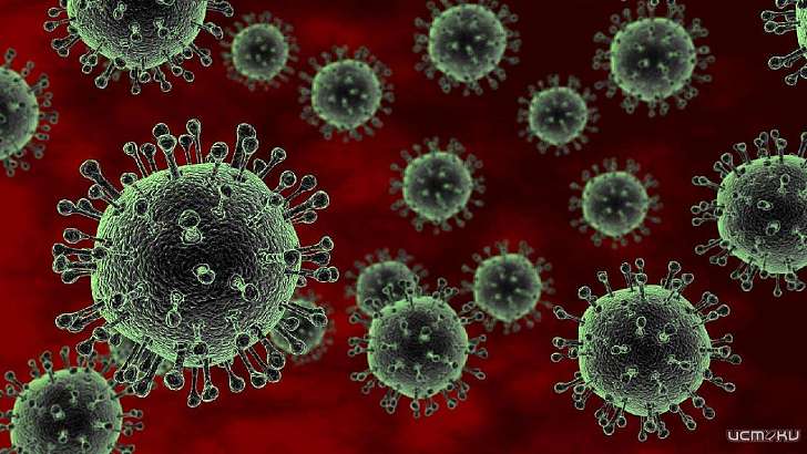 Орловщина обогнала все регионы РФ по скорости распространения COVID-19