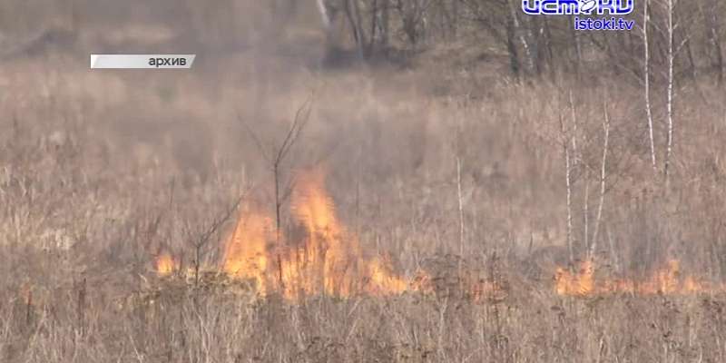 Совершают подвиг каждый день. Орловские сотрудники МЧС отметили День пожарной охраны