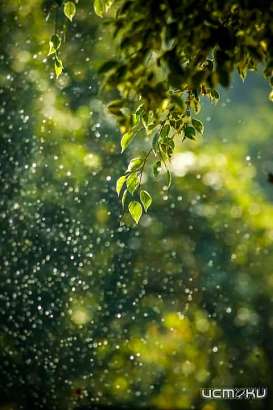 Пора заботы: этой осенью пройдёт более 4000 экологических мероприятий