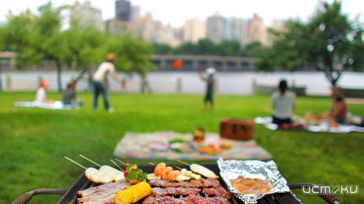 Правила безопасного пикника: Роспотребнадзор советует, как организовать отдых на природе