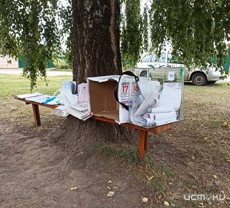 В Хотынце Орловской области продолжают «голосовать на пеньках»