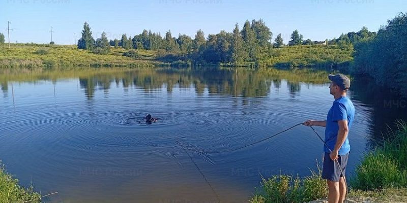 утонул мужчина В Орловской области утонул еще один человек