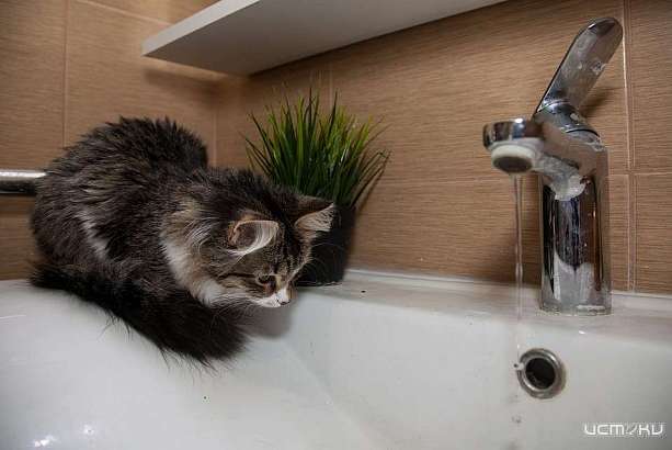 Когда в Орле отключат горячую воду