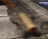 "Печатный бетон" - новое понятие в сфере ландшафтного дизайна. Материал можно использовать как в масштабных городских проектах, так и в обустройстве ч...