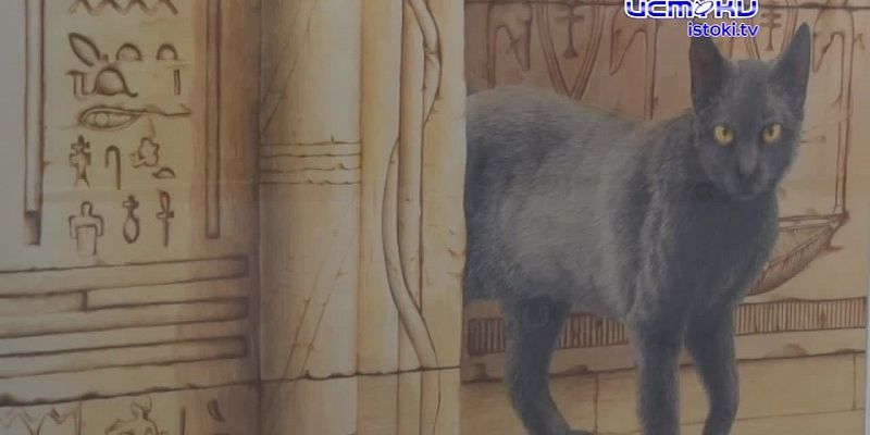 Истоки на выставке "Истоки"