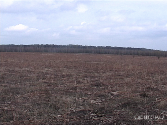 НЕподнятая целина: почему фермеры забывают о своих землях? 