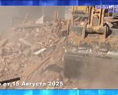 Сотрудники ГАИ спасли израненного пса. ЭКПРЕСС - НОВОСТИ