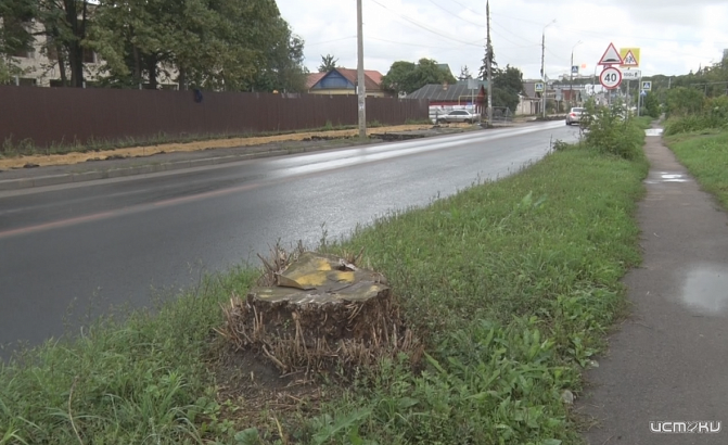 На улице Колхозная в Орле планируют высадить деревья