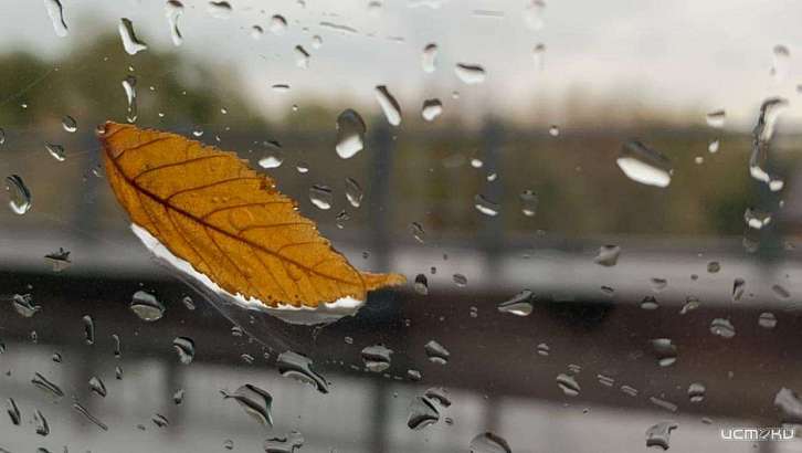 Хмуро и дождливо будет сегодня в Орле