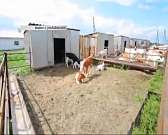 Орловчанам предложили решить, что делать с Силикатным прудом, а «Зеленой роще» пообещали нового инвестора. Новости за 90 секунд