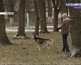 Клычков рассказал о коронавирусе в прямом эфире, а водители орловских маршруток продолжают курить за рулем