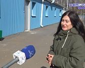 Посещение приюта для животных