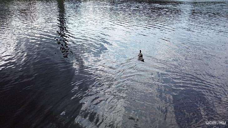 Дождливая погода никак не хочет покидать Орел