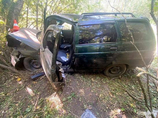 Машина в хлам: под Орлом автомобиль влетел в дерево