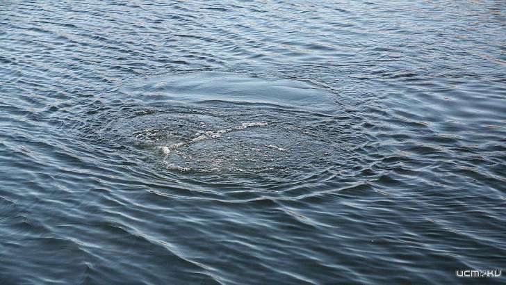 Во Мценском районе выловили из Зуши неопознанный труп