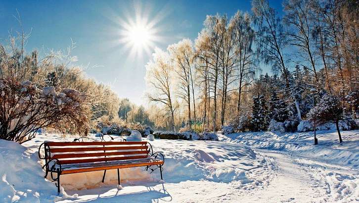 Мороз и солнце: погода в Орле на 1 февраля