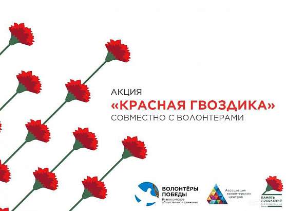 Орловская область станет участником акции «Красная гвоздика»