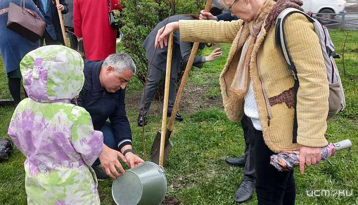 В Орловской области за 5 лет высадили лесные культуры на площади 355 га - власти