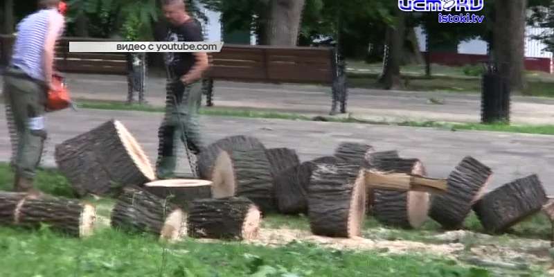 Против лома нет приема. Рабочие, которые выпиливали деревья в городском парке, пообещали доказать это орловчанину, который решил снять процесс их рабо...