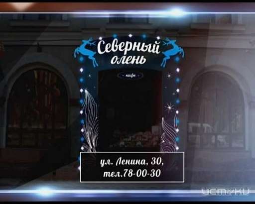 Кафе «Северный олень» приглашает для проведения банкетов