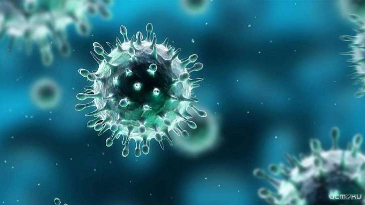 В Орловской области впервые за сутки выявили 169 новых случаев COVID-19