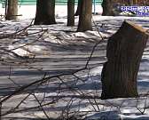 Обещать не значит сделать. Несколько лет жители Железнодорожного района ждут благоустройства Семинарского парка. Дождутся ли?