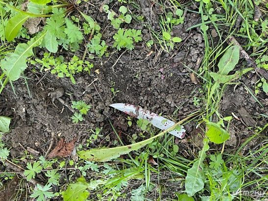 Орловчанин отправится на скамью подсудимых за убийство 