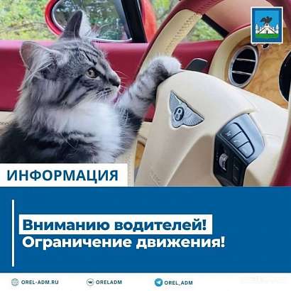 В Орле на время в некоторых местах будет запрещена стоянка транспортных средств