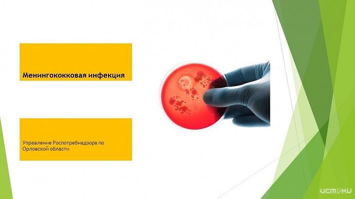 В орловском Роспотребнадзоре прокомментировали сообщения о вспышке менингита