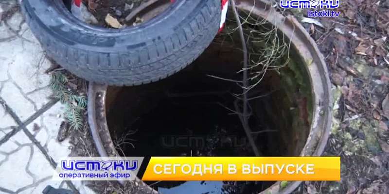 Как Орловщина пережила непогоду, открытй люк рядом со школой в Орле неделю не могут закрыть и орловским писателям Рассохиным Правительство РФ выразило...