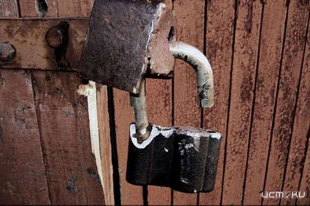 В Орле женщина из гаража пенсионера украла мотоблок