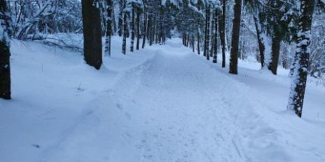 На Орловскую область надвигается циклон «Фрэнсис»