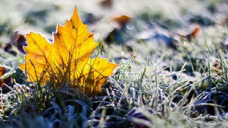 В последний октябрьский день в Орел пришли морозы