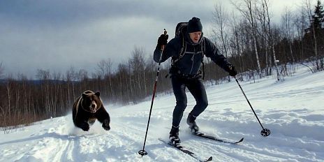 Тренер сборной Орловской области по лыжным гонкам рассказал как правильно выбрать лыжи для грядущих соревнований "Лыжня России 2026"