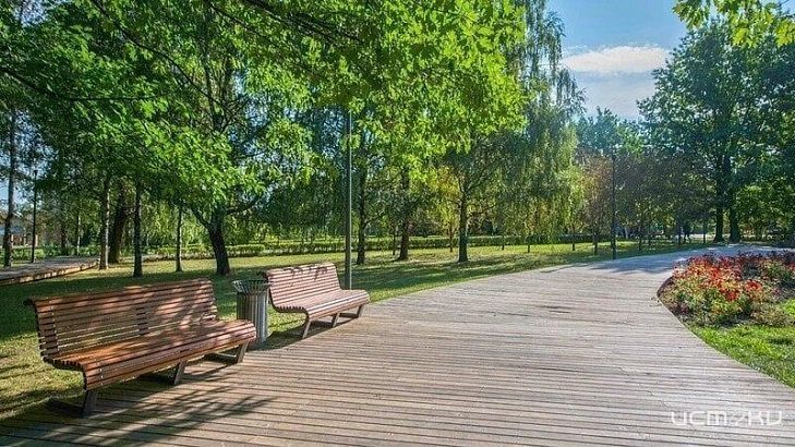 Жители Зареченского микрорайона требуют от властей парк 