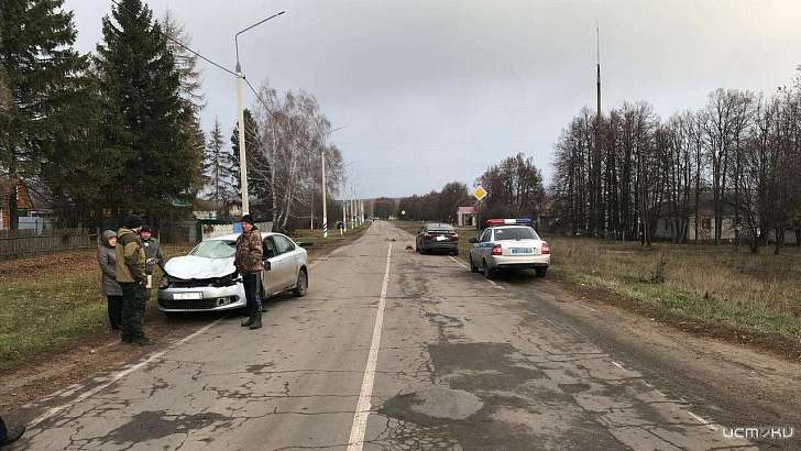 На Орловщине водитель «Фольксвагена» сбил корову
